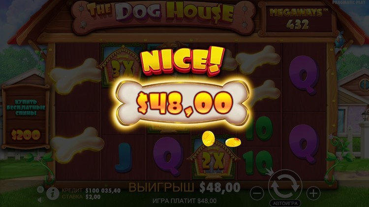 Low-bet Base Game Grind strategy for Dog House Megaways