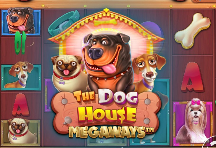 Bonus Buy Raining Wilds strategy for Dog House Megaways
